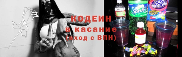 индика Корсаков