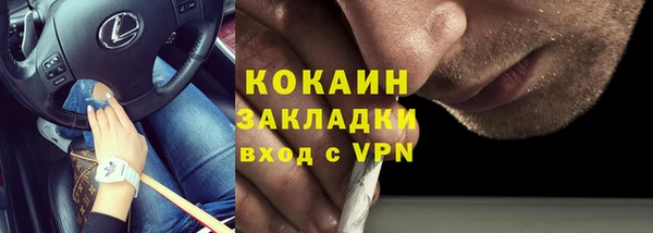 индика Корсаков