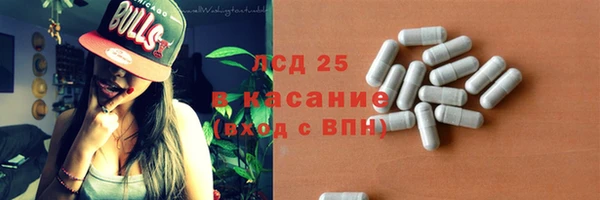 индика Корсаков