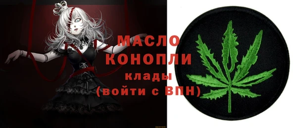 индика Корсаков