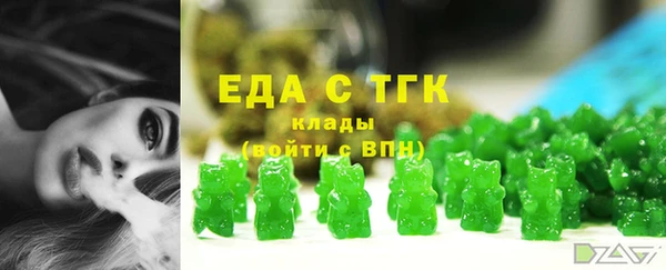индика Корсаков
