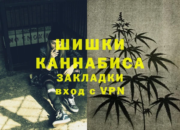 индика Корсаков