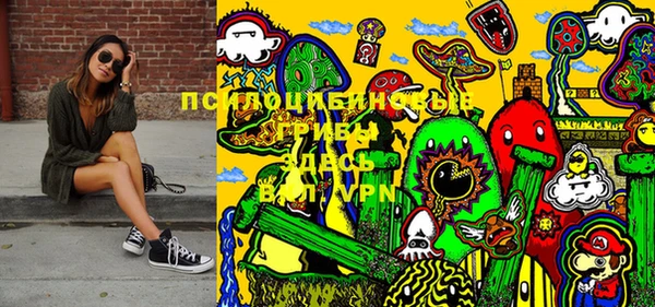мдпв Коряжма