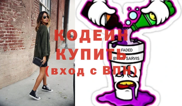 индика Корсаков