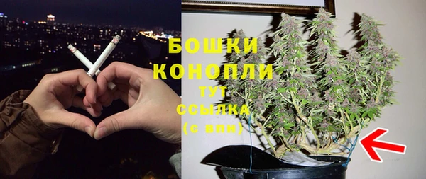 индика Корсаков