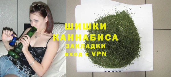 индика Корсаков