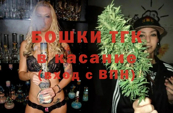 индика Корсаков