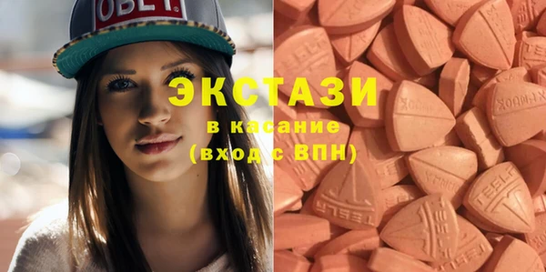 индика Корсаков